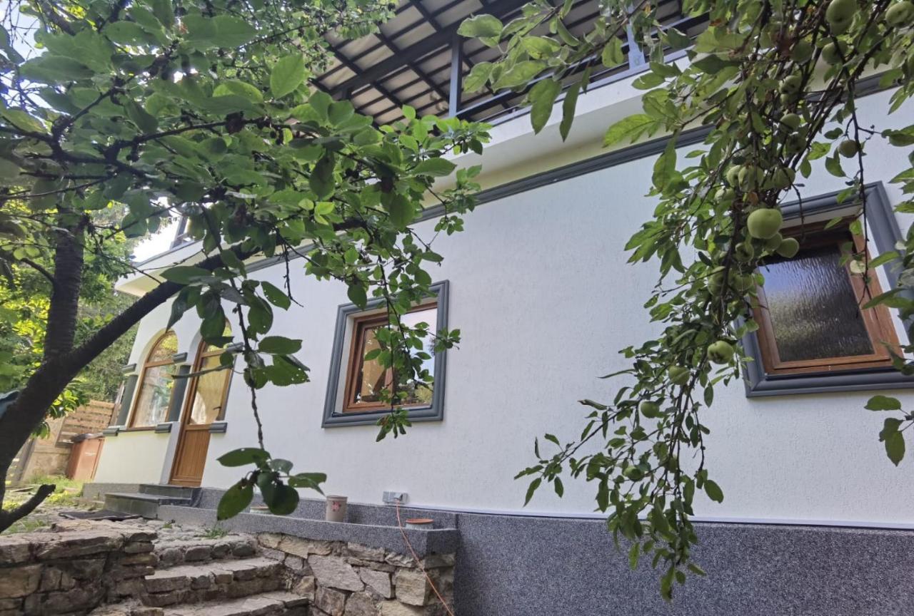 Hotel Vila Zia Corbeni Exterior foto